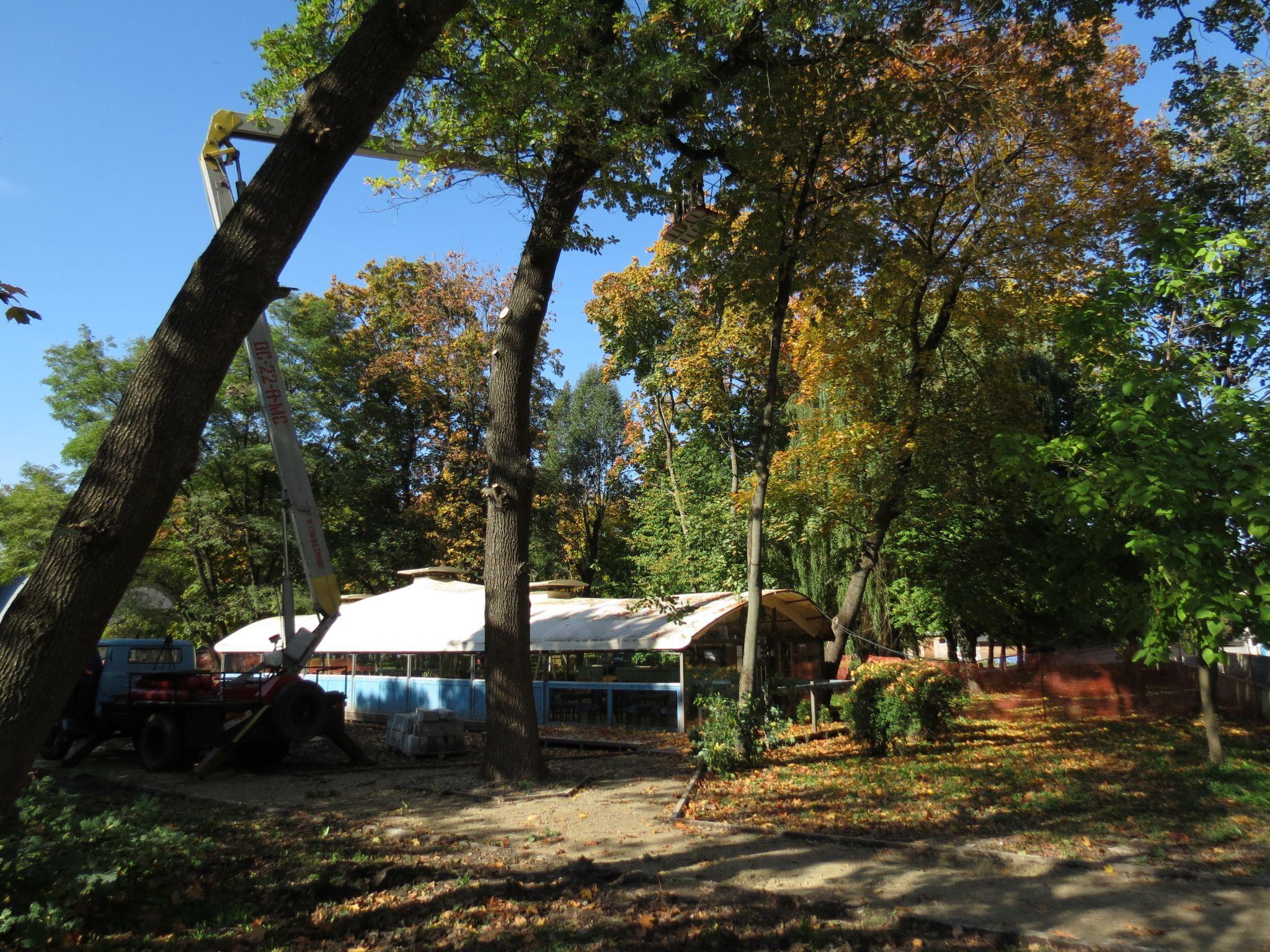 Новини Тернополя - фото з Перекрили прохід та зрізають дерева: що відбувається у парку Шевченка