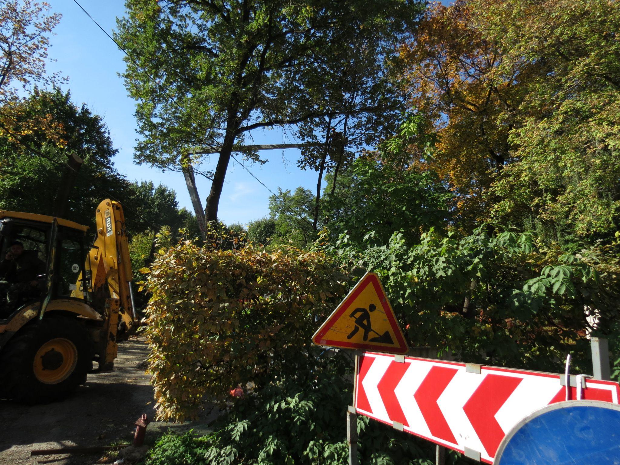 Новини Тернополя - фото з Перекрили прохід та зрізають дерева: що відбувається у парку Шевченка