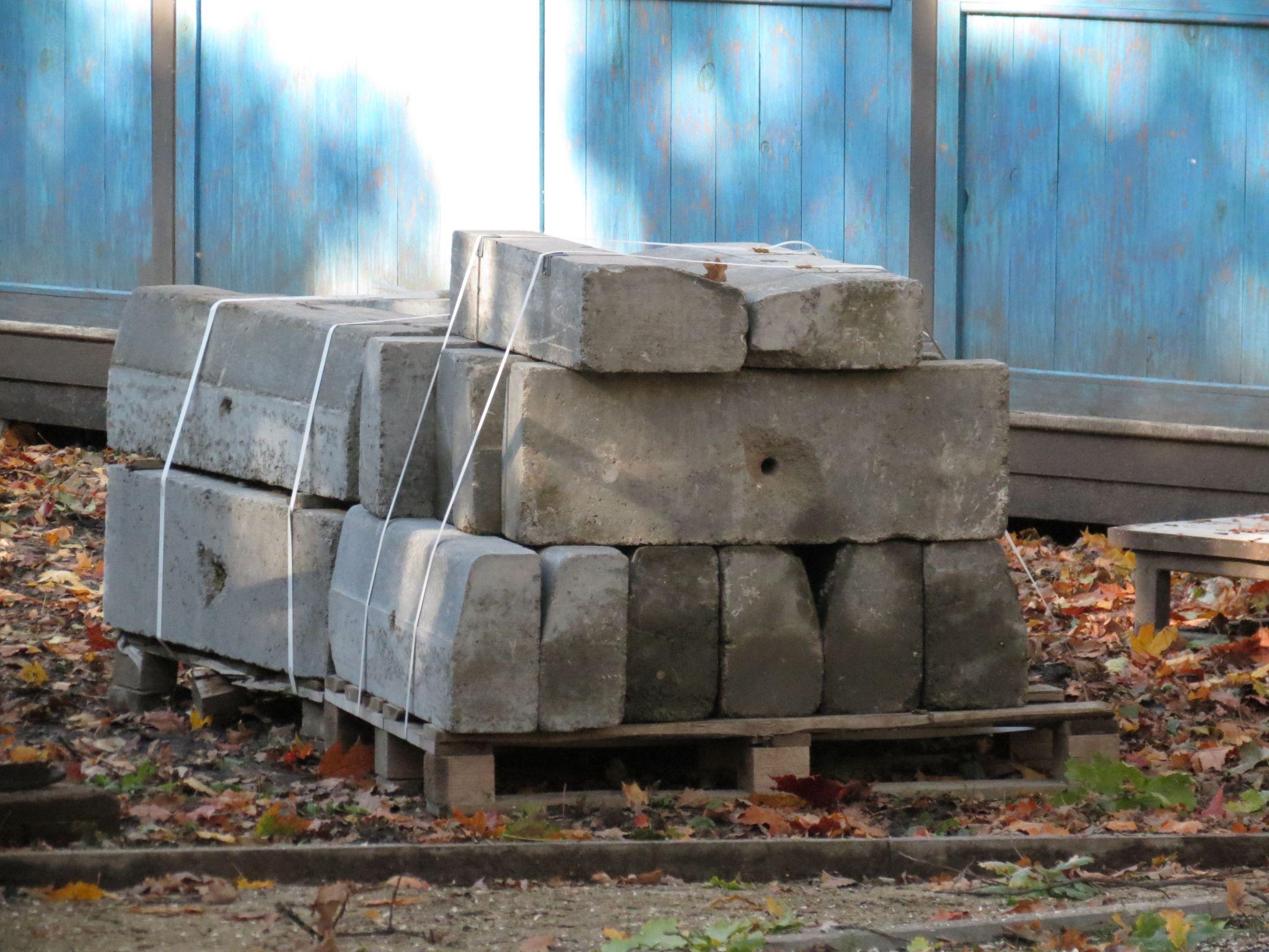 Новини Тернополя - фото з Перекрили прохід та зрізають дерева: що відбувається у парку Шевченка