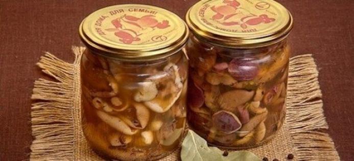 Новини Тернополя - фото з Закрутки, салати й інші смаколики: ми зібрали 6 грибних страв з усієї Тернопільщини на будь-який смак