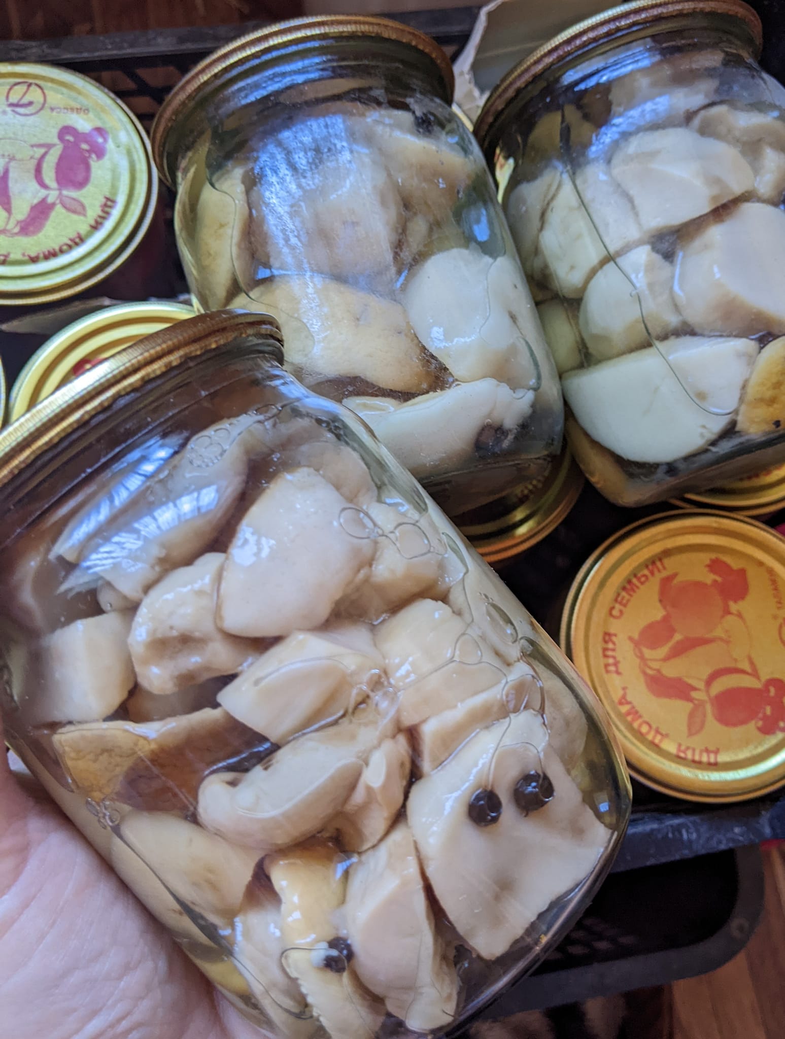 Новини Тернополя - фото з Закрутки, салати й інші смаколики: ми зібрали 6 грибних страв з усієї Тернопільщини на будь-який смак