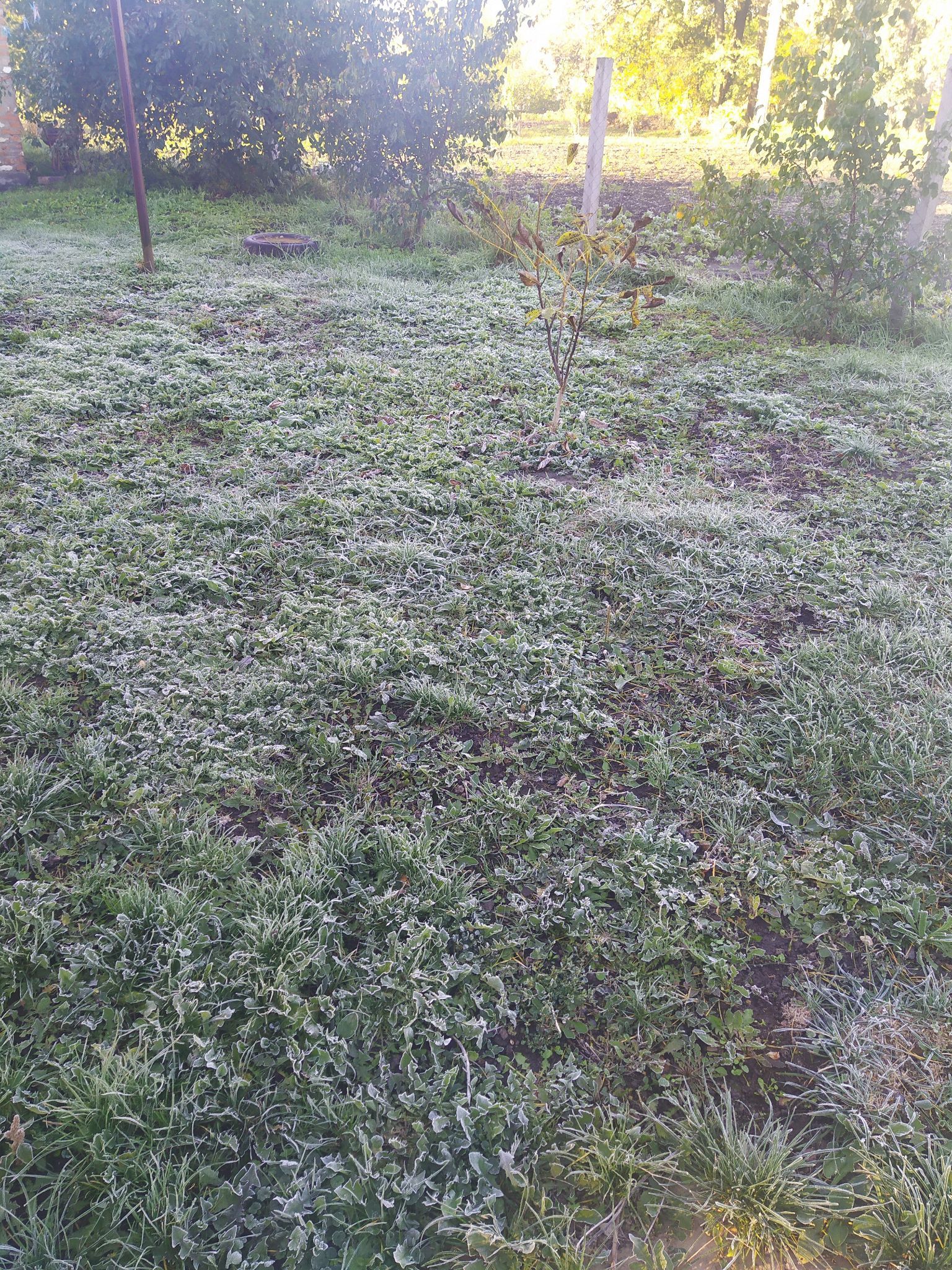 Новини Козятина - фото з Ясно, сонячно, хоч і холоднувато. Синоптики розповіли про погоду до кінця тижня