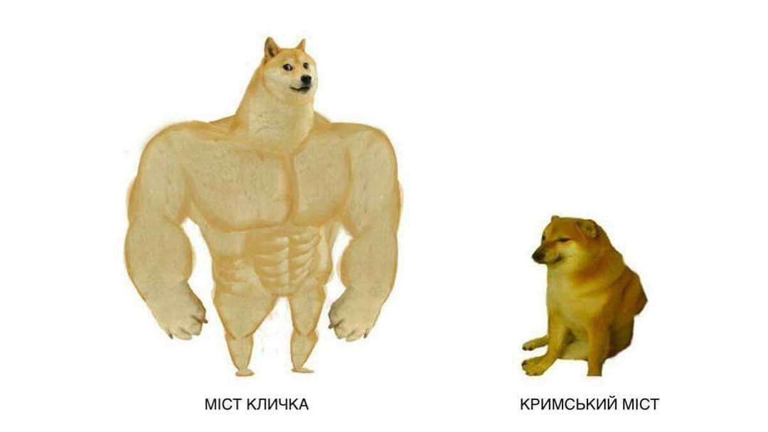 Новини Хмельницького - фото з Донати на помсту, відключення світла та винагорода за гіркіна: добірка свіжих мемів про війну