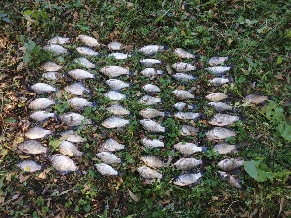 Новини Хмельницького - фото з У Летичеві браконьєр наловив риби на 96 тисяч гривень