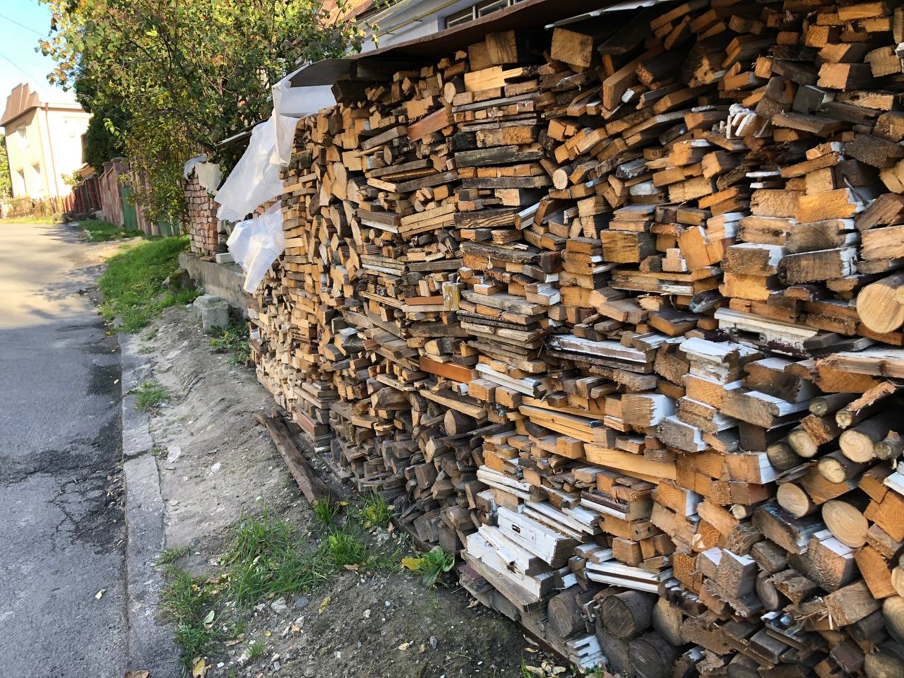 Новини Тернополя - фото з У лісництві або онлайн: де тернополянам вигідно купити дрова і в скільки це обійдеться