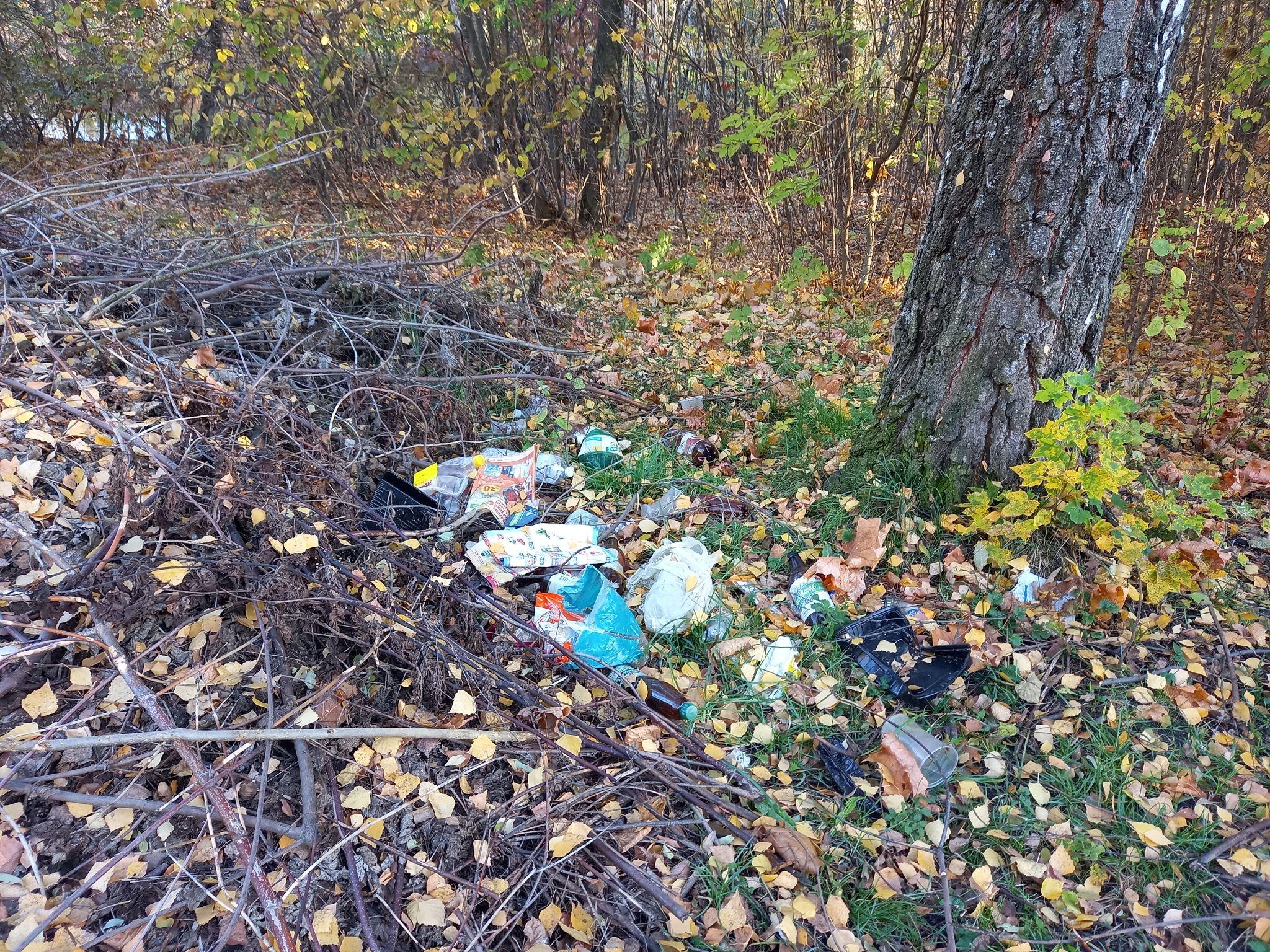 Новини Козятина - фото з Гілок наскладали, а забрати нікому