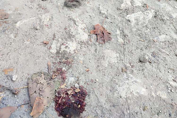 Новини Тернополя - фото з Впродовж 22-23 жовтня на дорогах Тернопільщини трапилося шість аварій: одна людина загинула