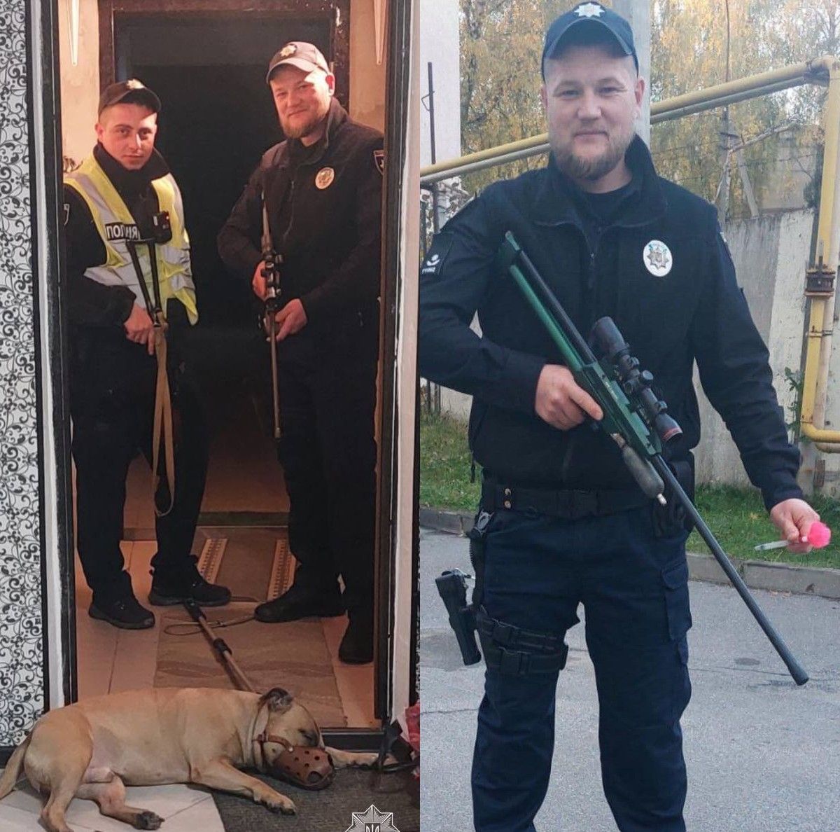 Новини Тернополя - фото з У Тернополі бійцівський собака напав на своїх господарів: довелося викликати поліцію