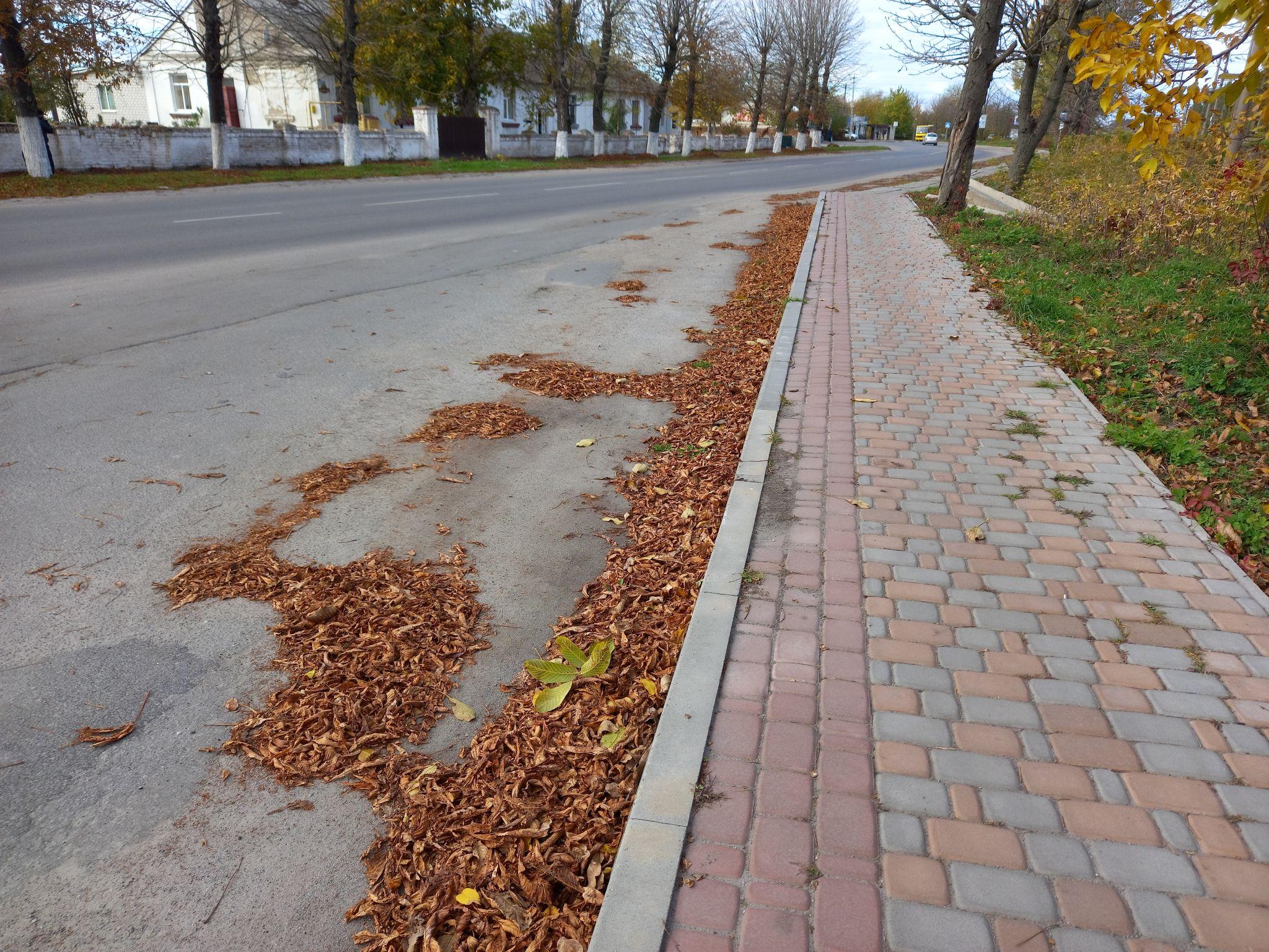Новини Козятина - фото з Листя, гілки і не тільки — як виглядають тротуари і узбіччя поза центром міста