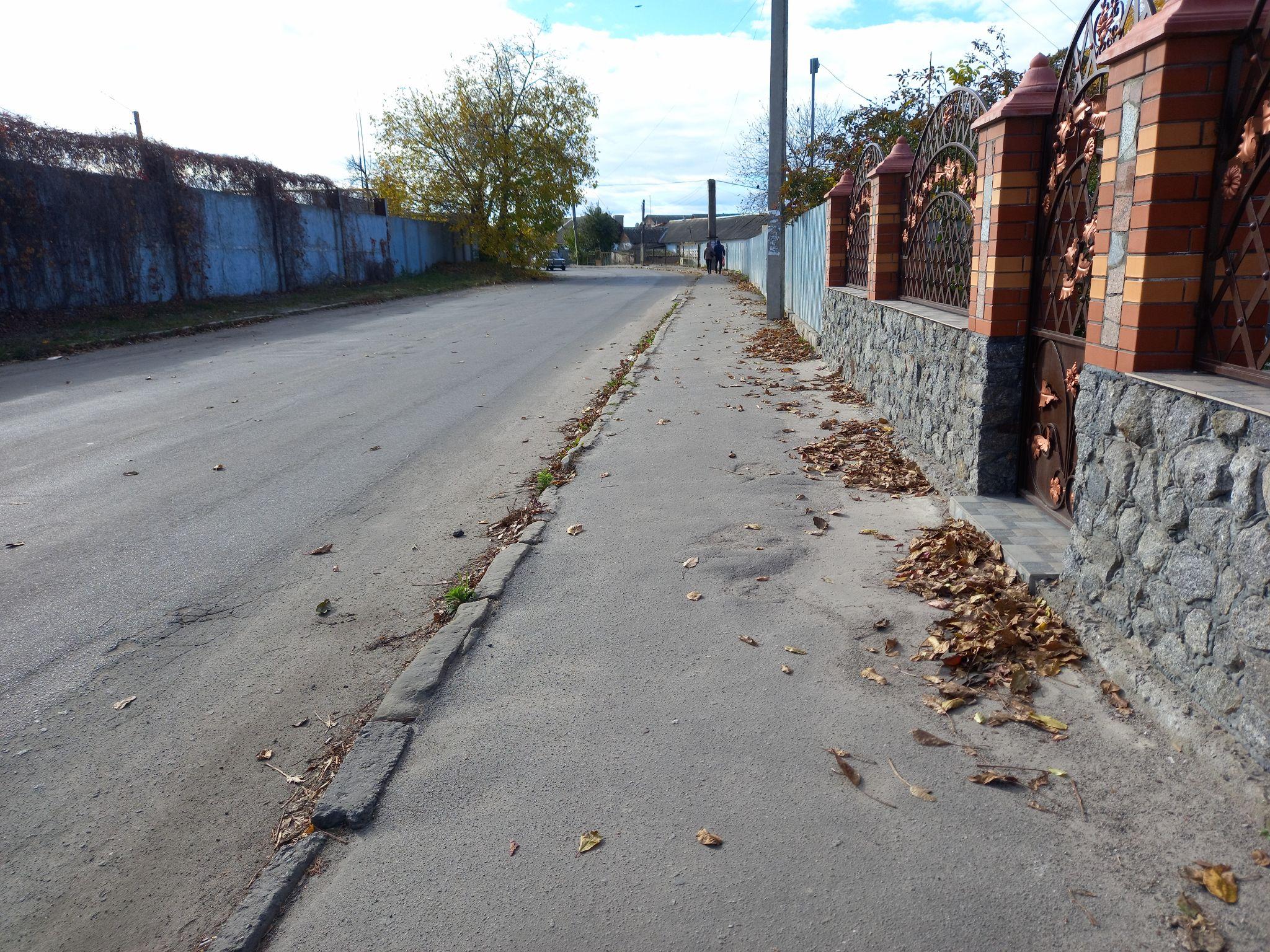 Новини Козятина - фото з Листя, гілки і не тільки — як виглядають тротуари і узбіччя поза центром міста