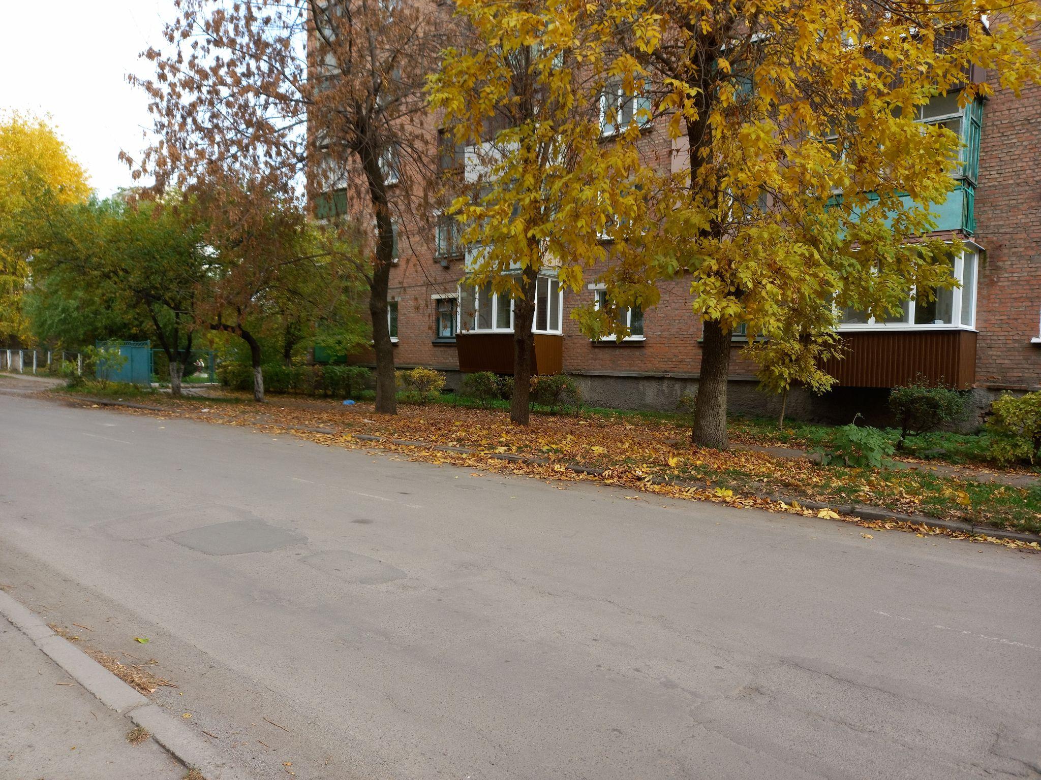 Новини Козятина - фото з Листя, гілки і не тільки — як виглядають тротуари і узбіччя поза центром міста