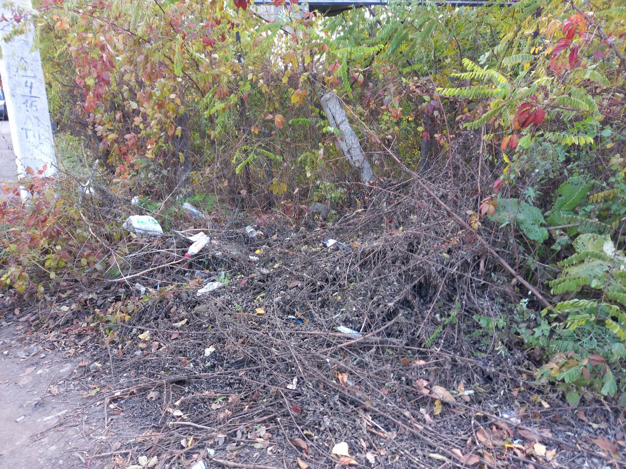 Новини Козятина - фото з Листя, гілки і не тільки — як виглядають тротуари і узбіччя поза центром міста