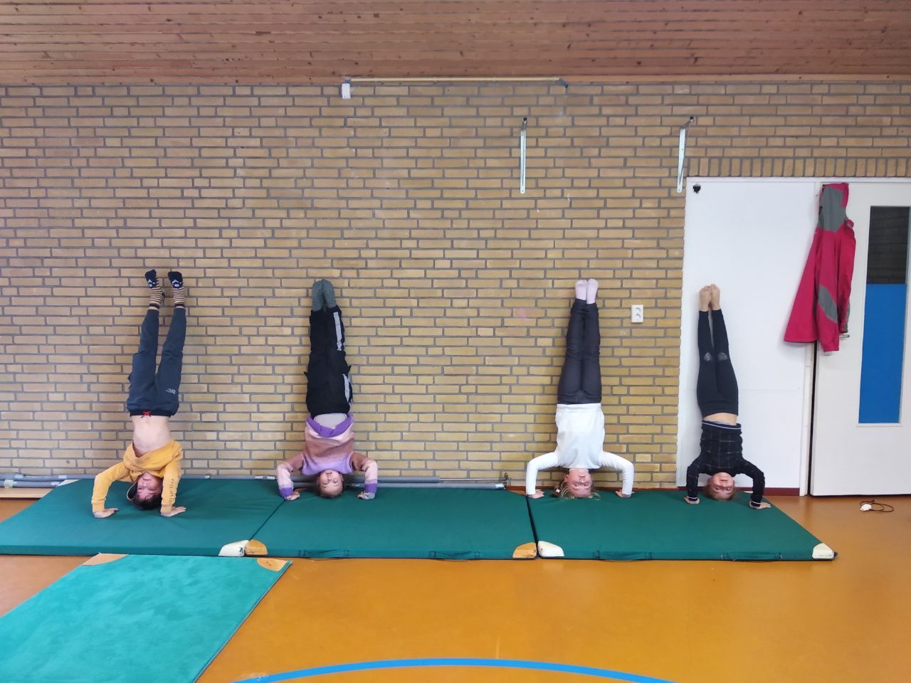 Новини Житомира - фото з Школа для українських біженців в країні тюльпанів