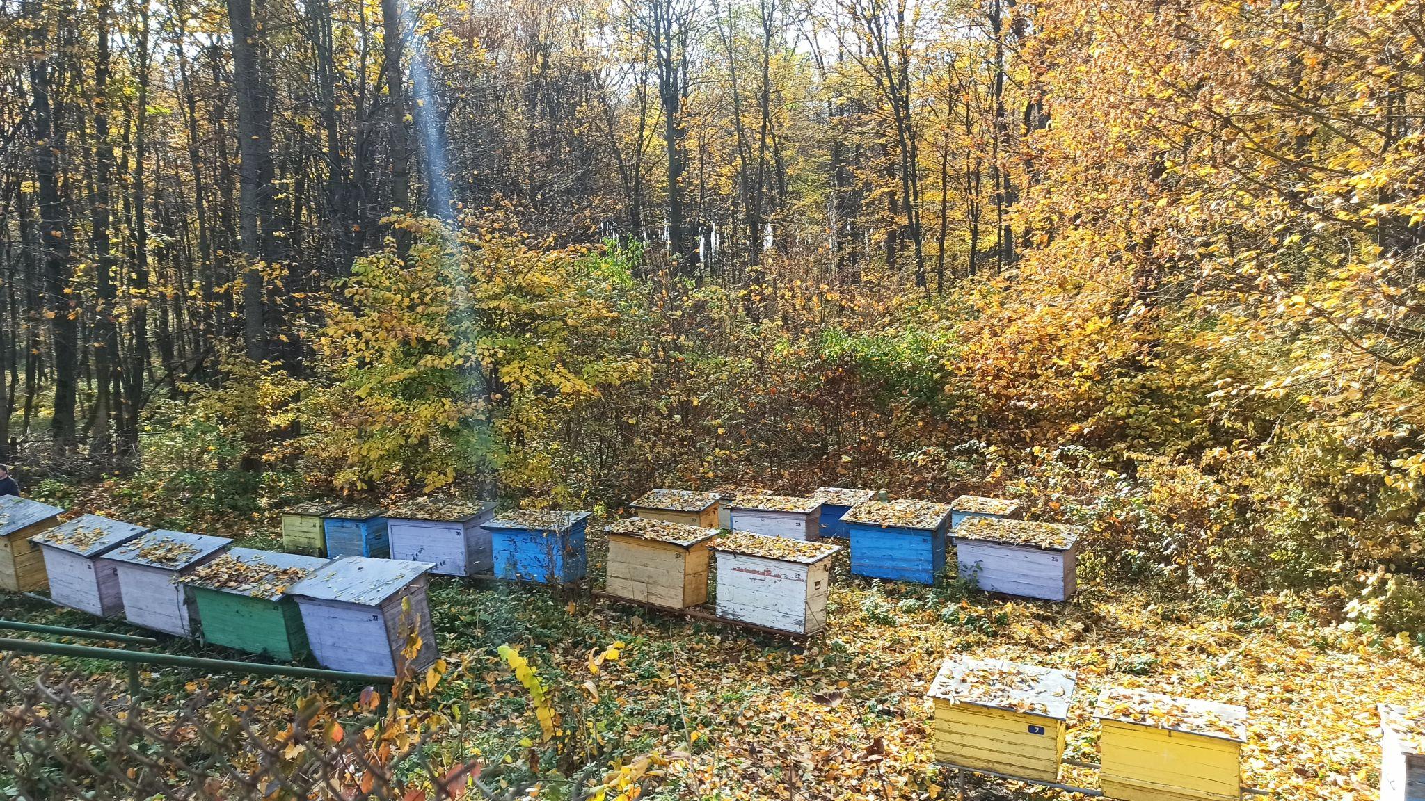 Новини Тернополя - фото з Старість не вдома. У яких умовах живуть старенькі у геріатричному пансіонаті – ми перевірили (РЕПОРТАЖ)