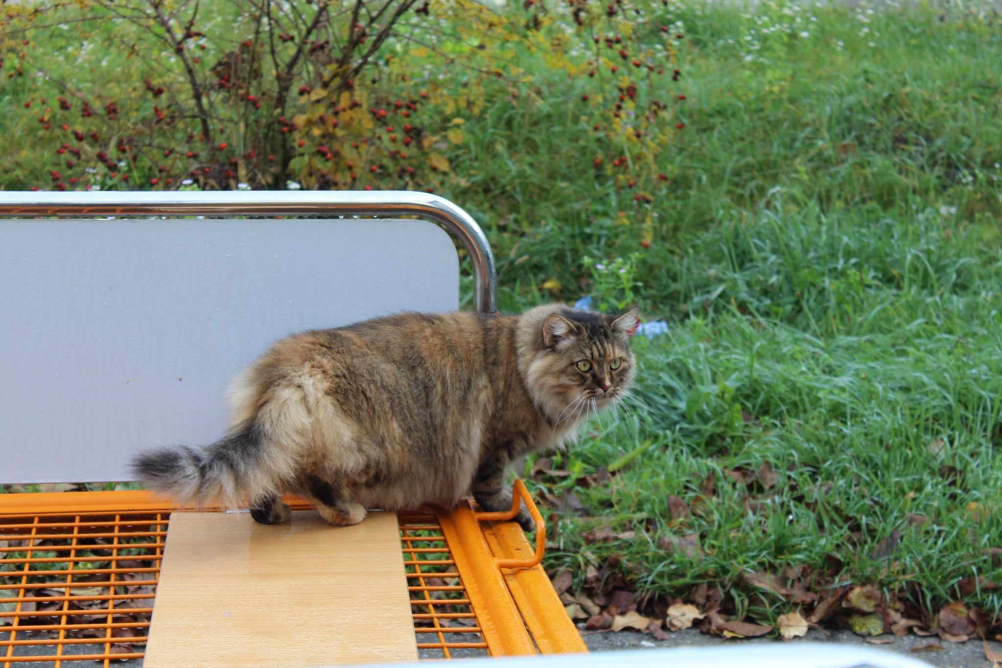 Новини Тернополя - фото з Старість не вдома. У яких умовах живуть старенькі у геріатричному пансіонаті – ми перевірили (РЕПОРТАЖ)