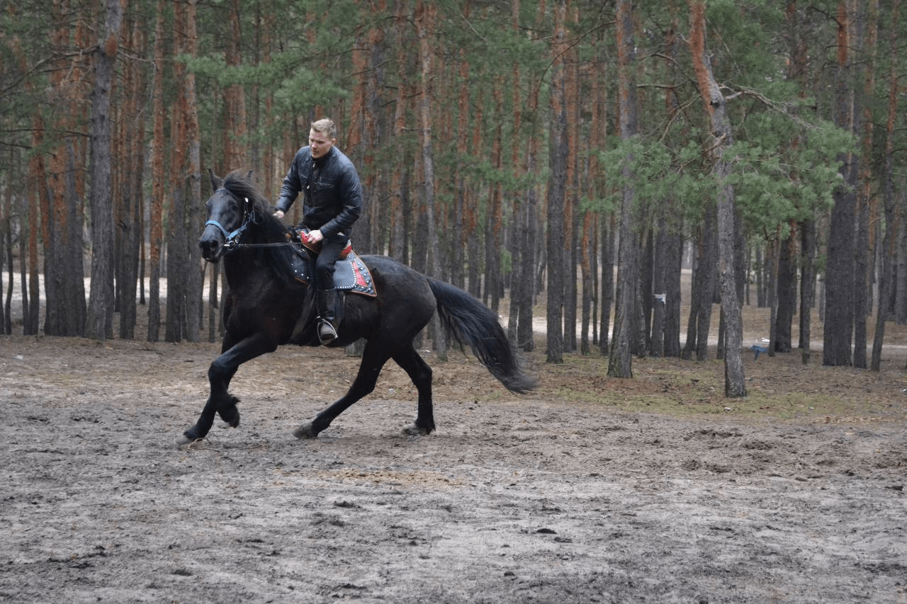 Новини Тернополя - фото з «Щойно вивезли тварин — снаряд знищив конюшню». Кінний клуб із Кремінної знайшов другу домівку на Тернопільщині