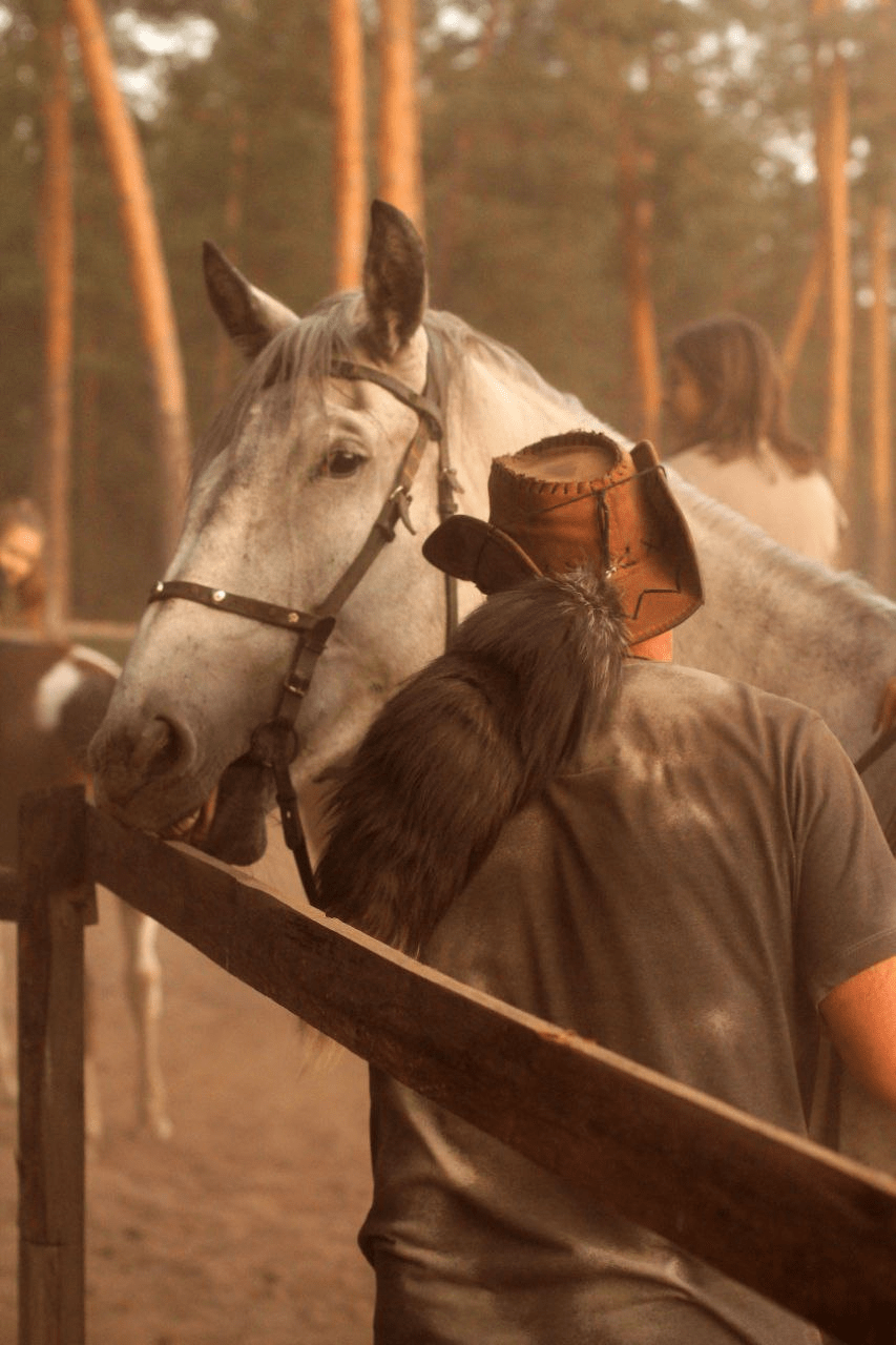 Новини Тернополя - фото з «Щойно вивезли тварин — снаряд знищив конюшню». Кінний клуб із Кремінної знайшов другу домівку на Тернопільщині