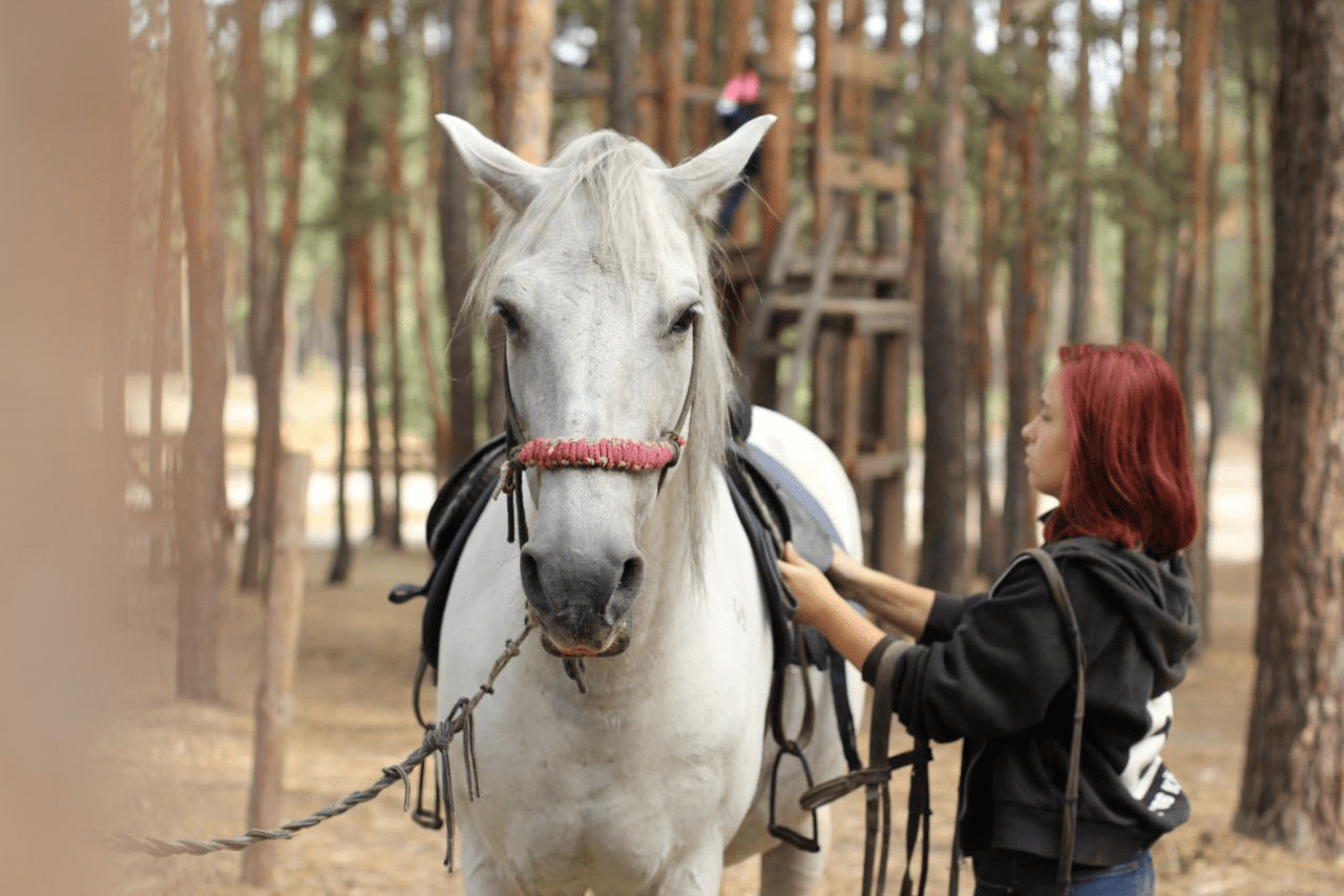 Новини Тернополя - фото з «Щойно вивезли тварин — снаряд знищив конюшню». Кінний клуб із Кремінної знайшов другу домівку на Тернопільщині
