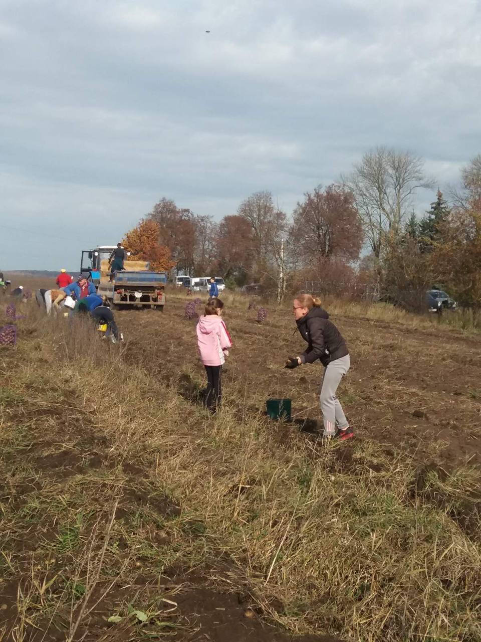 Новини Тернополя - фото з 9 тонн картоплі для ЗСУ: як жителі села Гаї-Шевченківські влаштували благодійну толоку