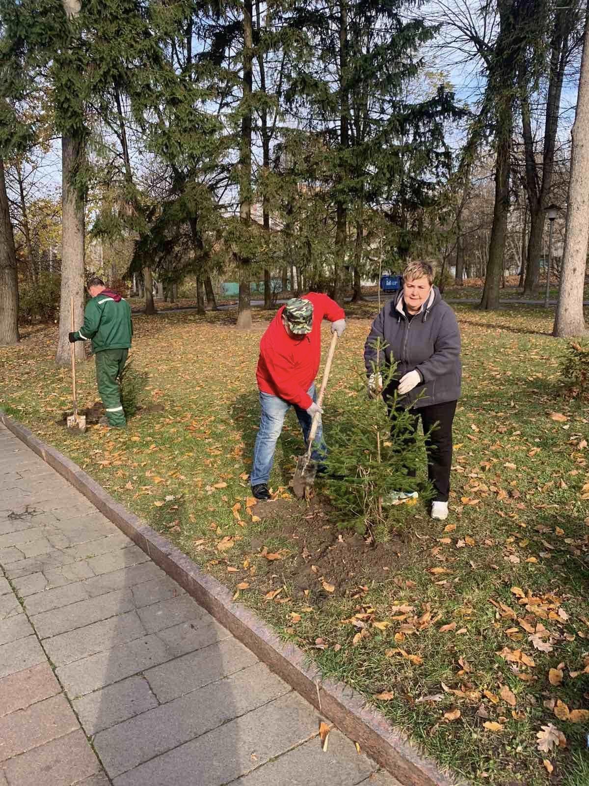 Новини Житомира - фото з У Шодуарівському парку висадили 80 ялинок та 25 модрин