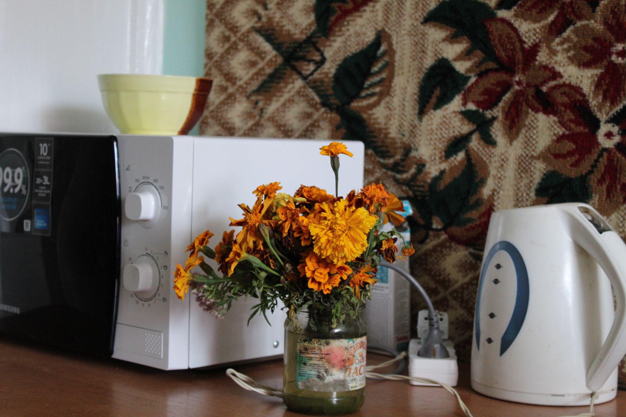 Новини Тернополя - фото з Не знають, куди повернутись. Три історії переселенок, у яких війна забрала домівку (ВІДЕО)