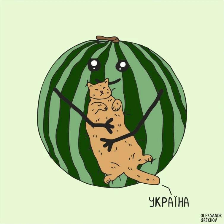 Новини Хмельницького - фото з Звільнення Херсона, смерть Стремоусова й вимкнення світла: свіжа добірка мемів і жартів