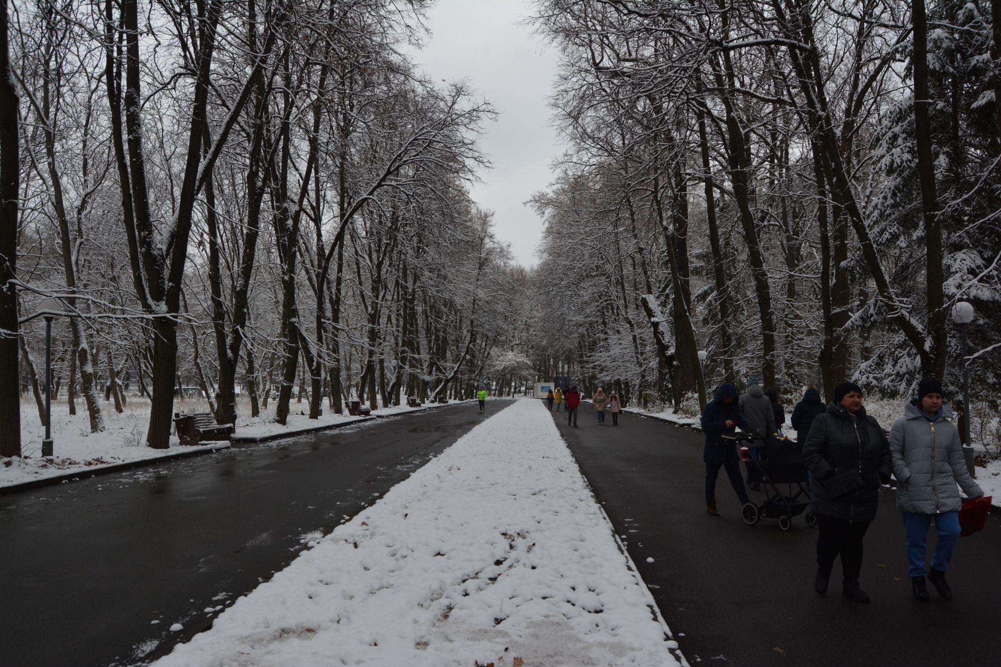 Новини Вінниці - фото з Зима у Вінниці: дивіться фоторепортаж із засніженого Центрального парку