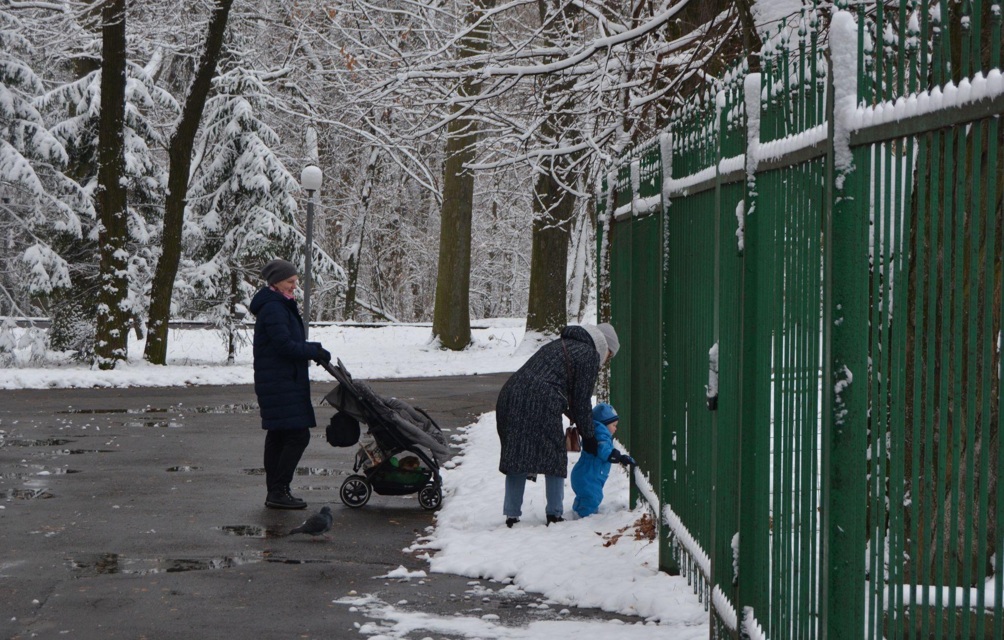 Новини Вінниці - фото з Зима у Вінниці: дивіться фоторепортаж із засніженого Центрального парку