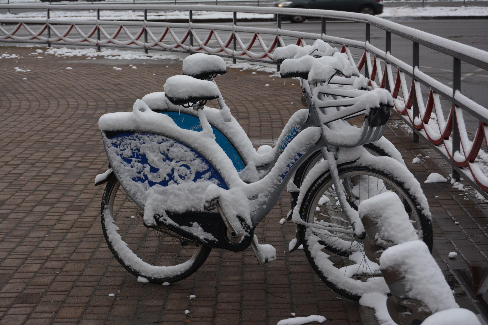 Новини Вінниці - фото з Зима у Вінниці: дивіться фоторепортаж із засніженого Центрального парку