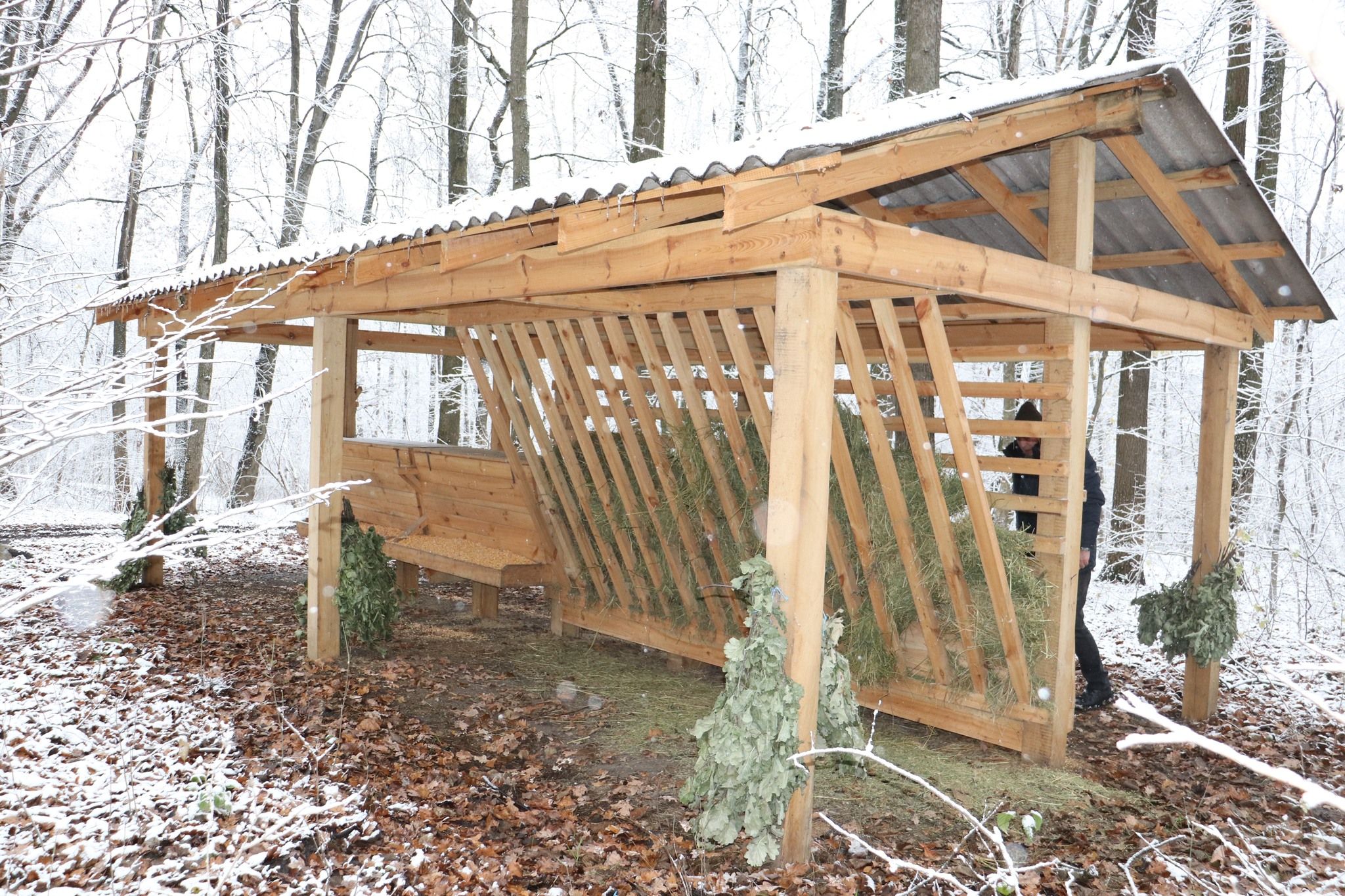 Новини Житомира - фото з Для мешканців житомирських лісів заготовили 80 тонн сіна та 160 тонн зернових