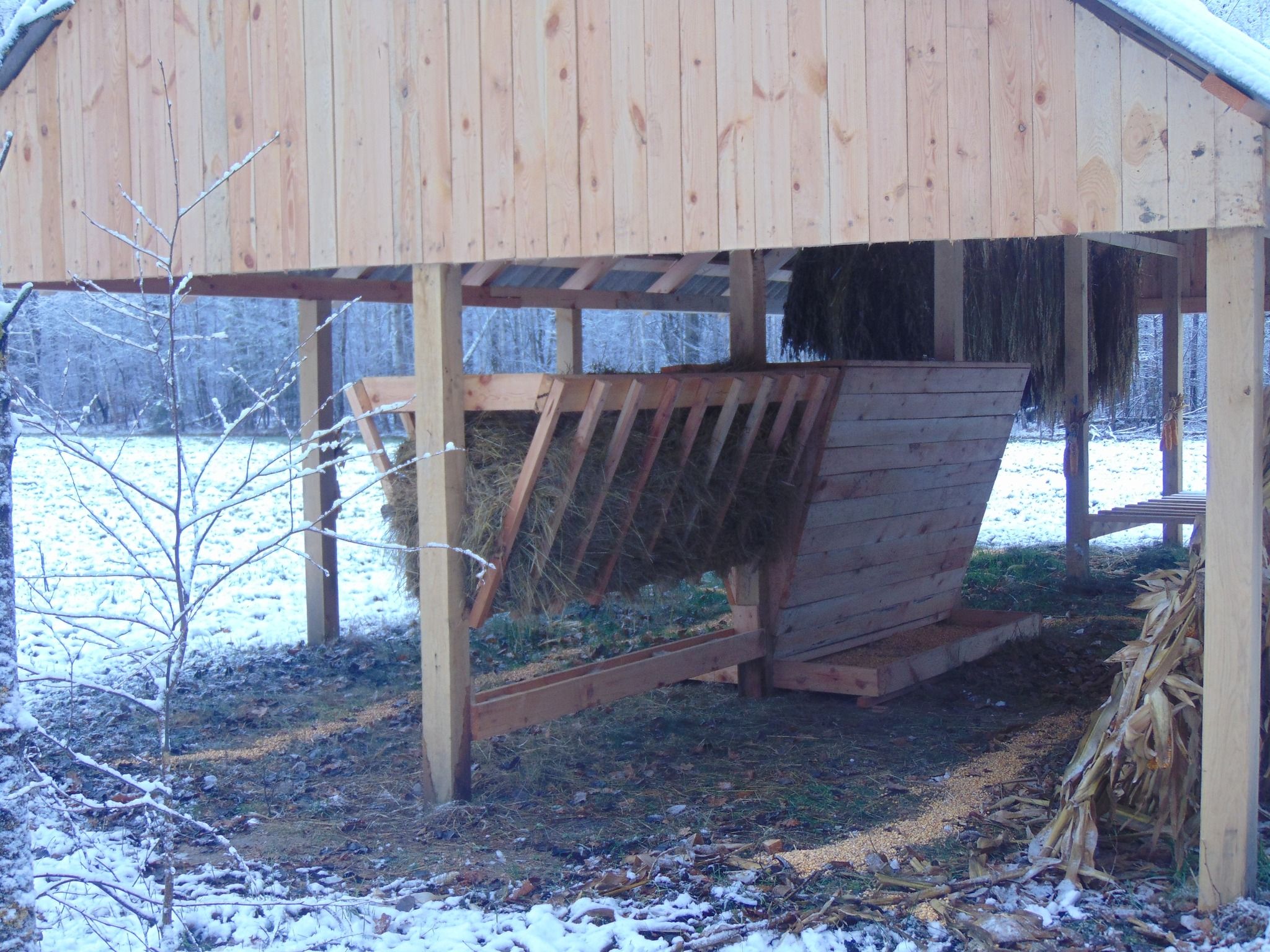 Новини Житомира - фото з Для мешканців житомирських лісів заготовили 80 тонн сіна та 160 тонн зернових