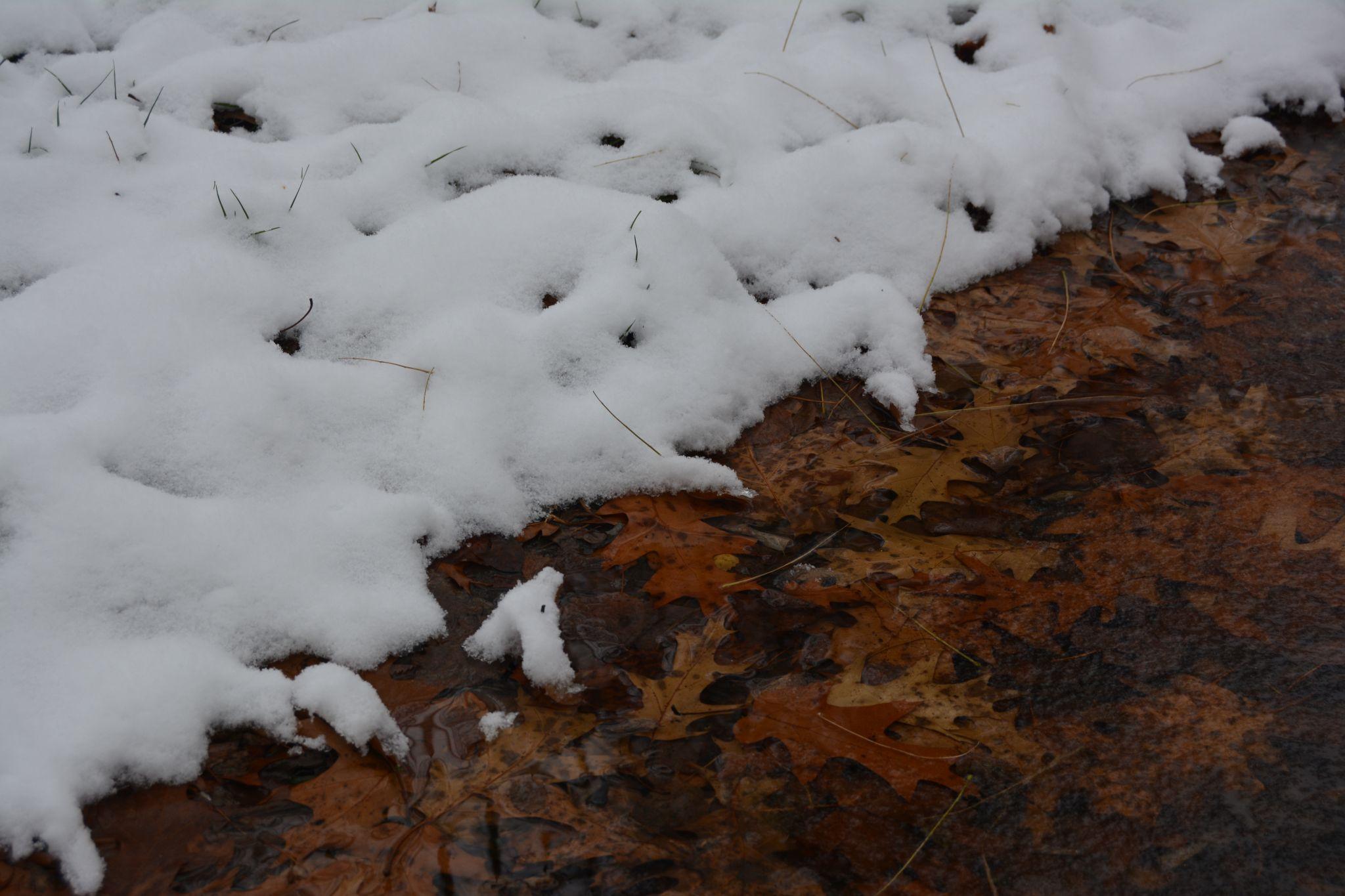 Новини Вінниці - фото з Зима у Вінниці: дивіться фоторепортаж із засніженого Центрального парку