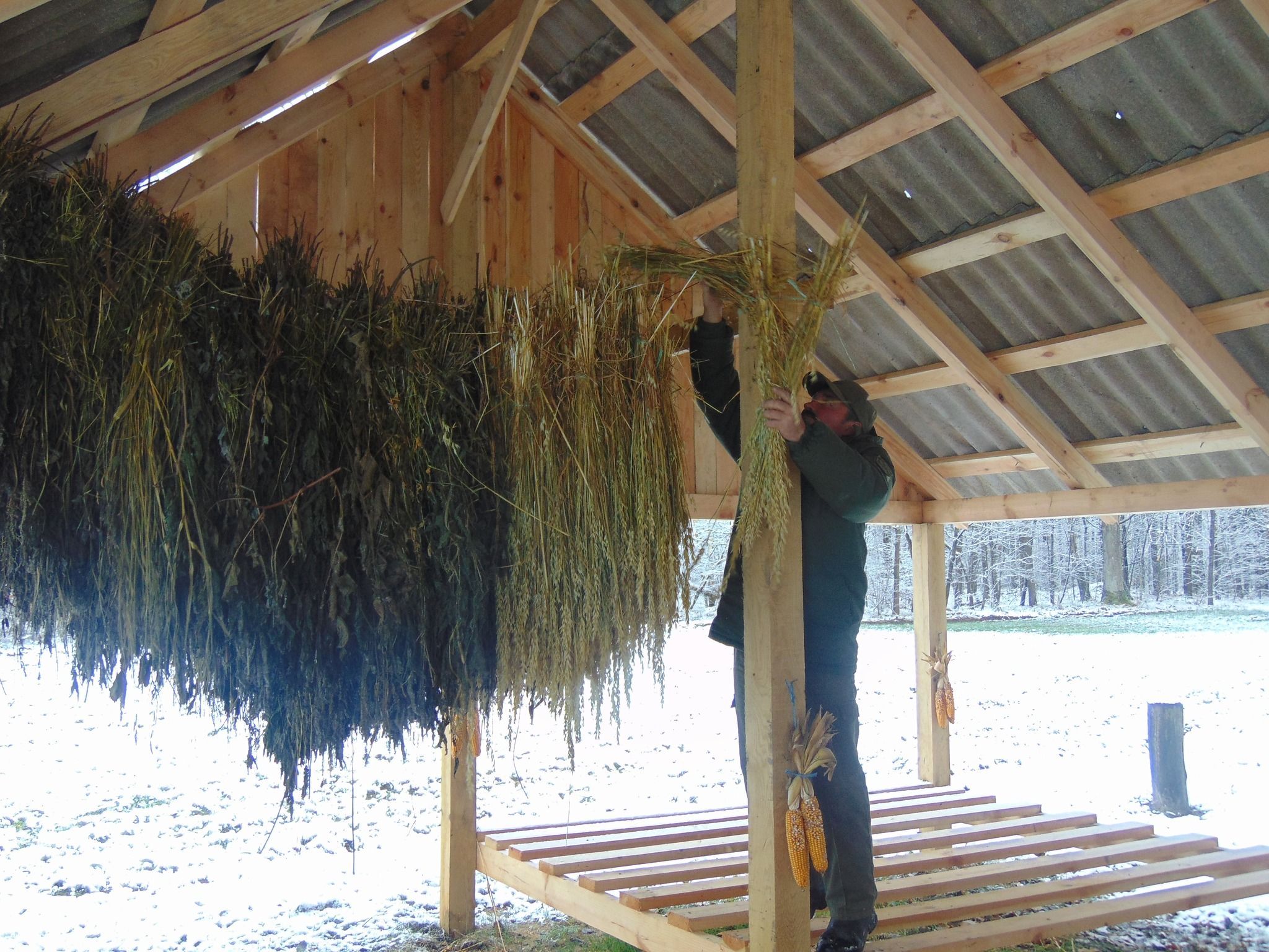 Новини Житомира - фото з Для мешканців житомирських лісів заготовили 80 тонн сіна та 160 тонн зернових