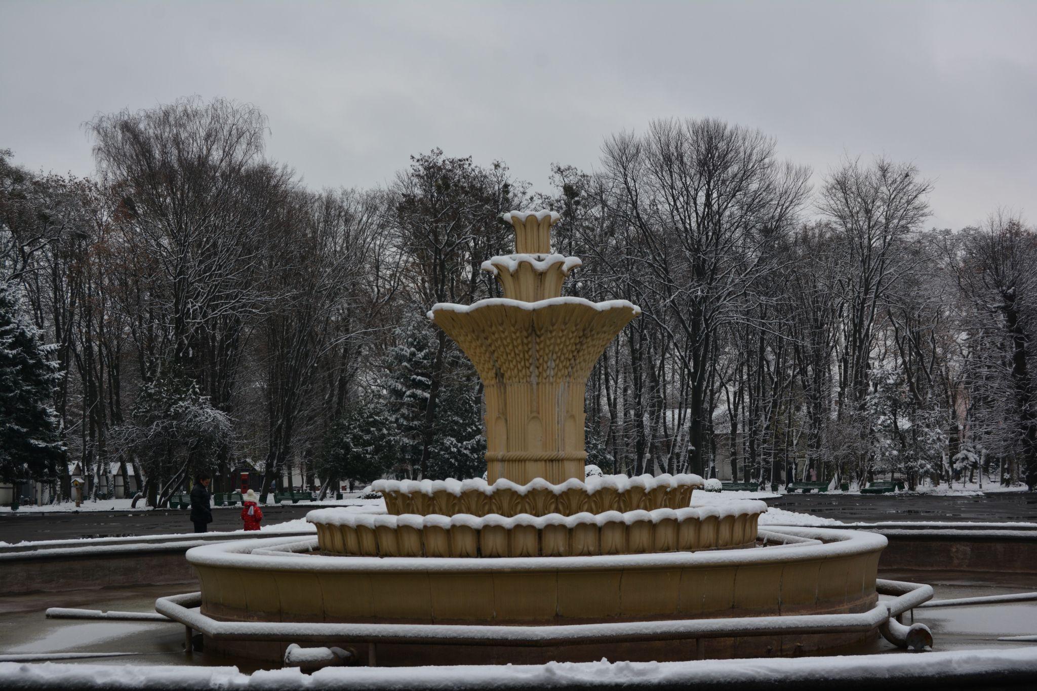 Новини Вінниці - фото з Зима у Вінниці: дивіться фоторепортаж із засніженого Центрального парку