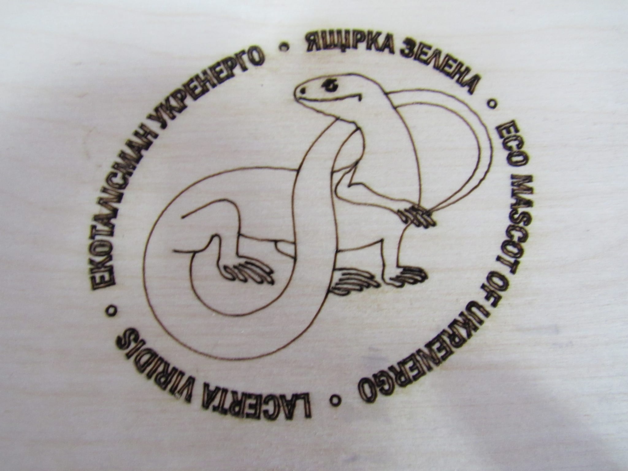 Новини Тернополя - фото з У природному парку на Тернопільщині встановлять будиночки для кажанів: для чого вони
