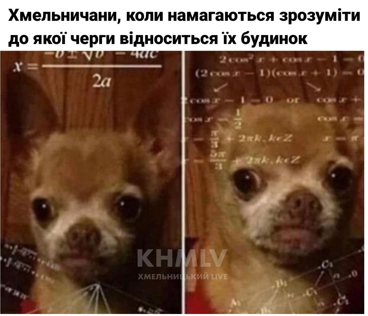 Новини Хмельницького - фото з Херсонський єнот, планові “включення” та реакція НАТО: найсвіжіші меми за останній тиждень