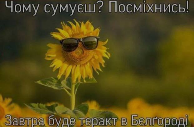 Новини Хмельницького - фото з Херсонський єнот, планові “включення” та реакція НАТО: найсвіжіші меми за останній тиждень