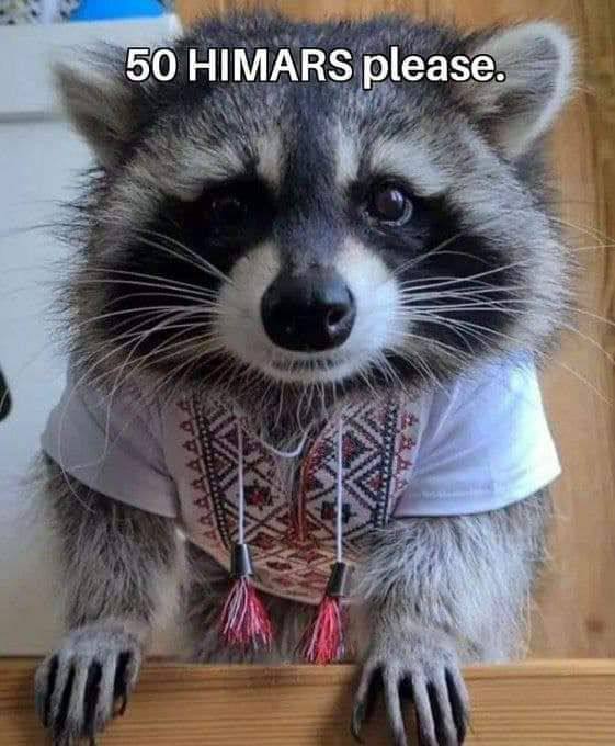 Новини Хмельницького - фото з Херсонський єнот, планові “включення” та реакція НАТО: найсвіжіші меми за останній тиждень