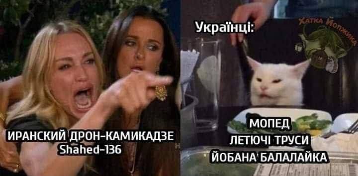 Новини Хмельницького - фото з Херсонський єнот, планові “включення” та реакція НАТО: найсвіжіші меми за останній тиждень