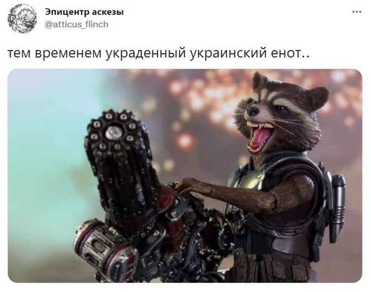 Новини Хмельницького - фото з Херсонський єнот, планові “включення” та реакція НАТО: найсвіжіші меми за останній тиждень