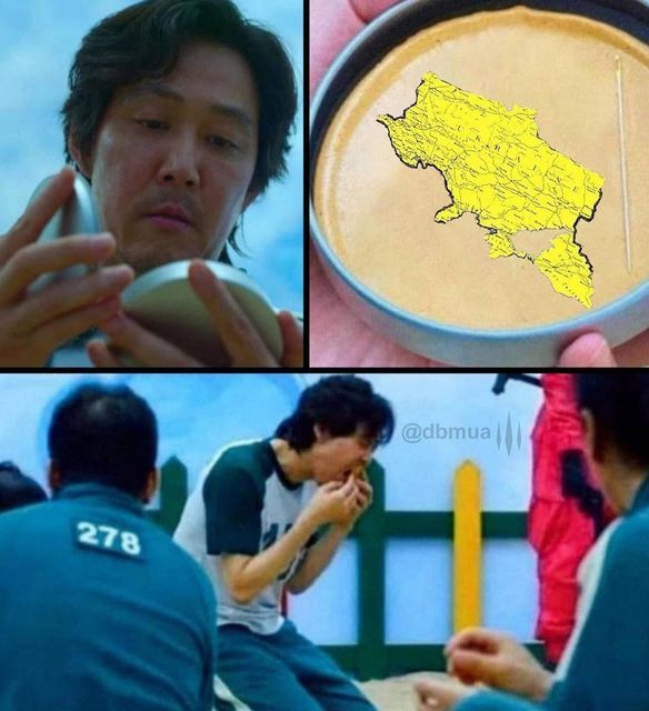 Новини Хмельницького - фото з Херсонський єнот, планові “включення” та реакція НАТО: найсвіжіші меми за останній тиждень