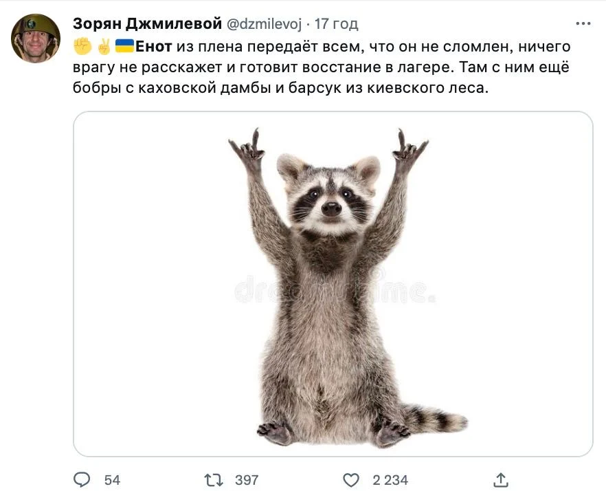 Новини Хмельницького - фото з Херсонський єнот, планові “включення” та реакція НАТО: найсвіжіші меми за останній тиждень