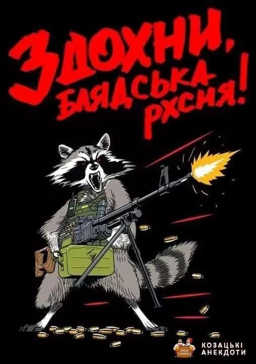 Новини Хмельницького - фото з Херсонський єнот, планові “включення” та реакція НАТО: найсвіжіші меми за останній тиждень