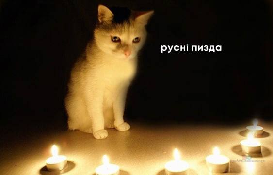 Новини Хмельницького - фото з Херсонський єнот, планові “включення” та реакція НАТО: найсвіжіші меми за останній тиждень