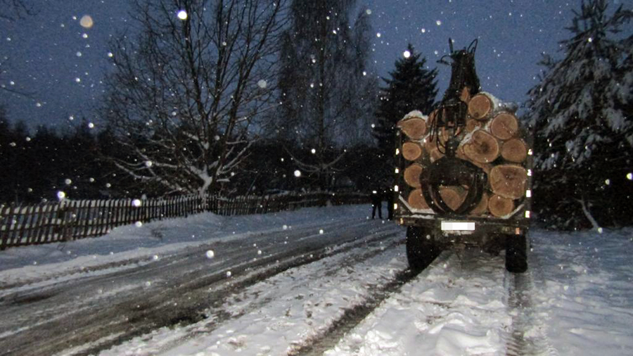 в ємільчинській громаді поліцейські перевіряють законність транспортування лісопродукції
