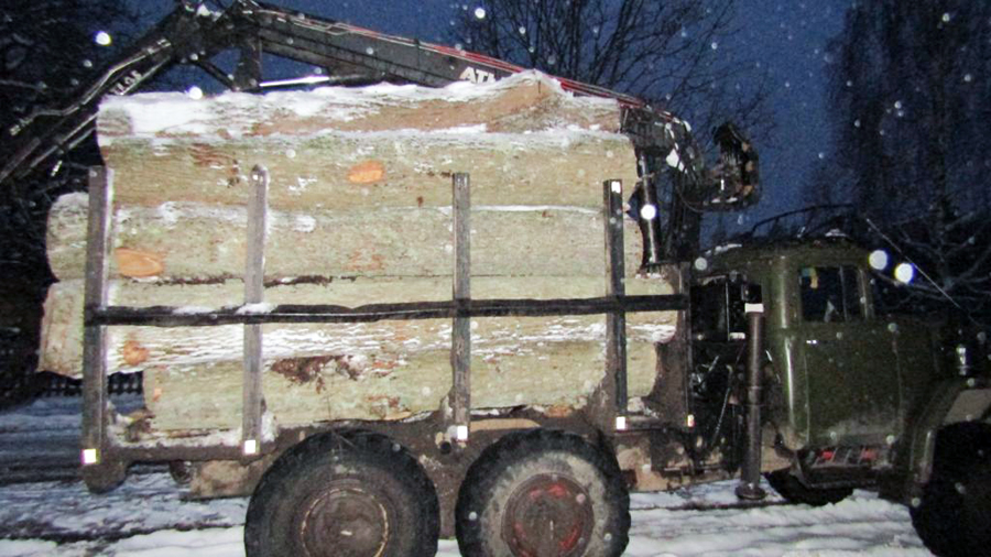 в ємільчинській громаді поліцейські перевіряють законність транспортування лісопродукції
