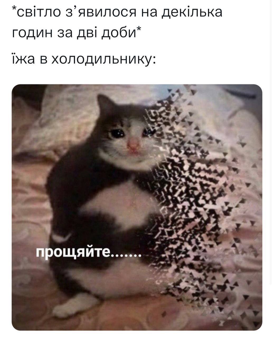 Новини Вінниці - фото з Щоб не плакати, ми сміялись: добірка нових мемів про війну