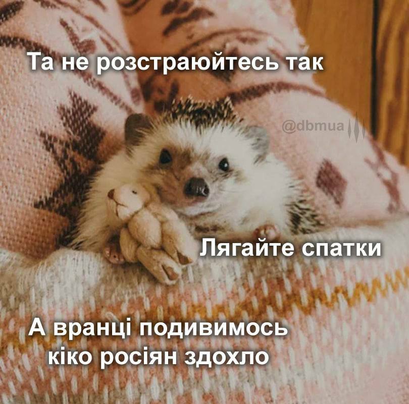 Новини Хмельницького - фото з Країна генераторів, чорна п’ятниця, світло у вікні сусідського будинку: свіжа добірка мемів та жартів