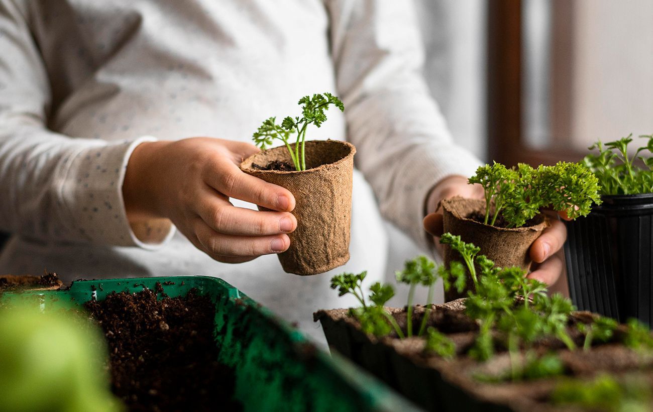 Новини Хмельницького - фото з Місячний календар на грудень 2022: сприятливі і несприятливі дні