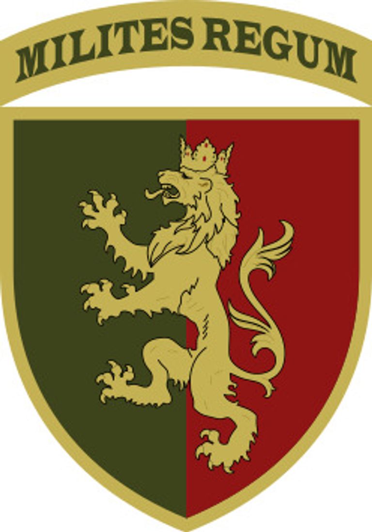 Новини Хмельницького - фото з Що закодовано в символіці ЗСУ: в Шепетівці діє виставка шевронів